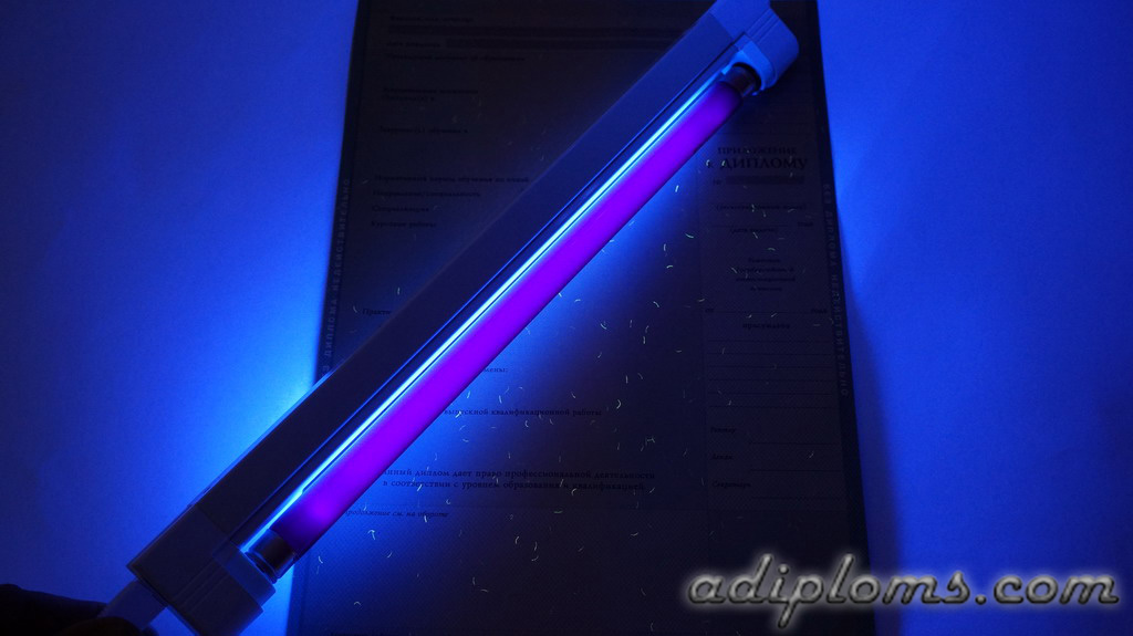 Диплом магистра 1997-2003 Фото Диплом магистра 1997-2003 Фото