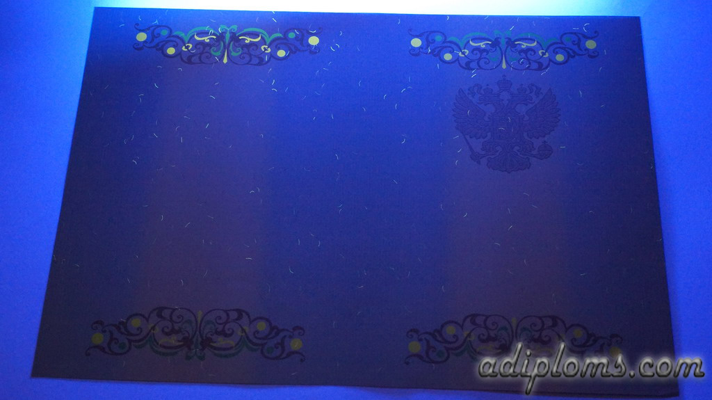 Диплом специалиста 2011-2013 Фото Диплом специалиста 2011-2013 Фото