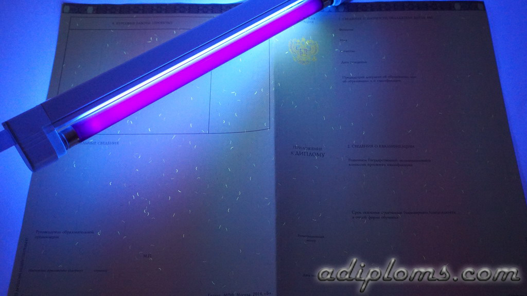 Диплом специалиста 2014-2025 Фото Диплом специалиста 2014-2025 Фото